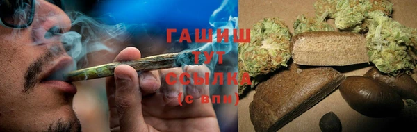 гидра Переславль-Залесский