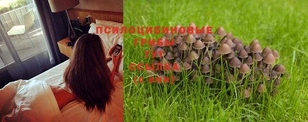 ПСИЛОЦИБИНОВЫЕ ГРИБЫ Покачи