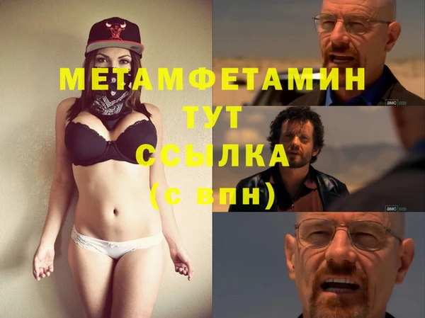 трава Гатчина